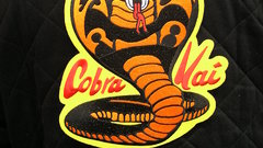 Karate Kid cobra kai