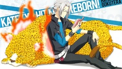 Katekyo hitman reborn Hayato