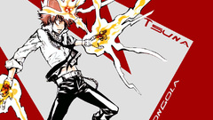 Katekyo hitman reborn Sawada