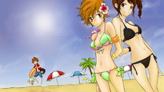 Katekyo hitman reborn Sawada