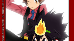 Katekyo hitman reborn sawada