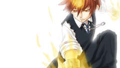 Katekyo hitman reborn sawada