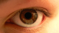 Keeping The thread Alive