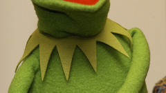 Kermit the frog