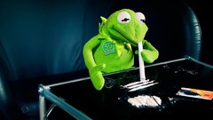 Kermit the frog Cocaine