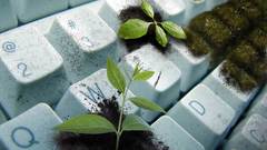 Keyboards Plants dirt