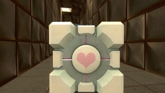 Kibbawl fb Portal plawks