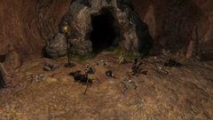 Killer rabbit follow but