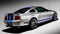 King vehicles 2008 Ford mustang muscle cars Ford Mustang Shelby 