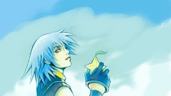 Kingdom Hearts Riku