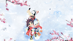 Kingdom Hearts Sora (Kingdom