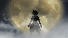 Kingdom Hearts Sora (Kingdom