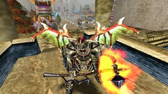 Knight Online NeweryStronqeR