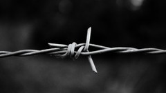 Knot barbed wire monochrome Wire wrap