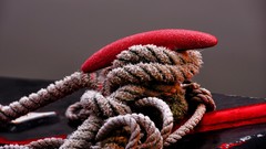 Knot Ropes angels angel dust