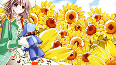 Kobato Sunflowers Anime girls