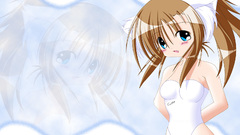 Konachan com animal ears