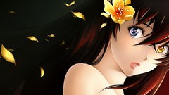 Kurogane no Linebarrels anime