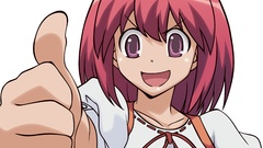 Kushieda minori toradora anime