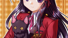 Kuze kiriha cats fortune