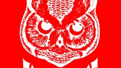 Kvelertak Owls Simple Background