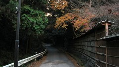Kyoto Culture indoors countries archetecture