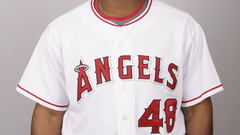 La angels of anaheim