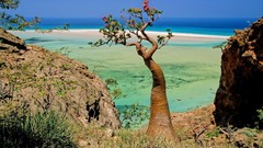 Lagoon Beaches bottles Socotra Island