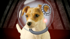 Laika high Resolution laikaneed