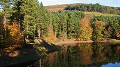 Lake autumn out The reflections