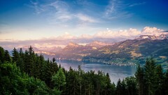 Lake forest switzerland Dominic Kamp nature Trees Mountains