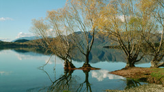 Lake wanaka high nature