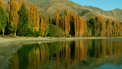 Lake wanaka high nature