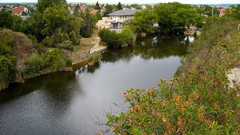 Lakes hungary Székesfehérvár