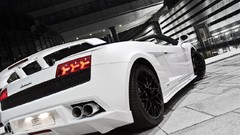 Lamborghini gallardo Lamborghini Gallardo LP560-4
