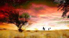 Land golden sky home