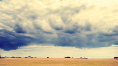 Land photo Taken own acually