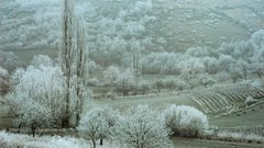 Landscape France 1977 frank eastern kodachrome horvat