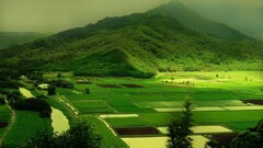 landscape nature field Agro (Plants)