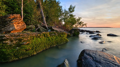 Landscape noo My Sorting