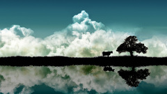 Landscape problem had uhmm