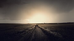 landscape sky dark field dirt road brown