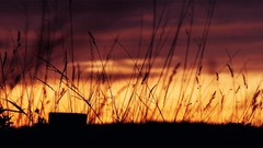 Landscapes afternoon