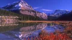 Landscapes alberta national park jasper national park Windows 