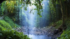 Landscapes Australia falls national park shower new south wales