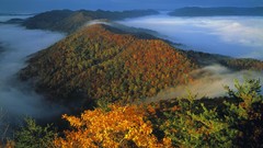 Landscapes autumn gap