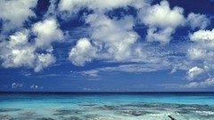 Landscapes Beaches bonaire Caribbean Sea