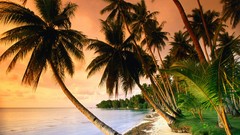 Landscapes Beaches exotic