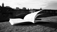 Landscapes black and white Books Italy diary