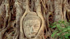 Landscapes Buddha Thailand Ayutthaya